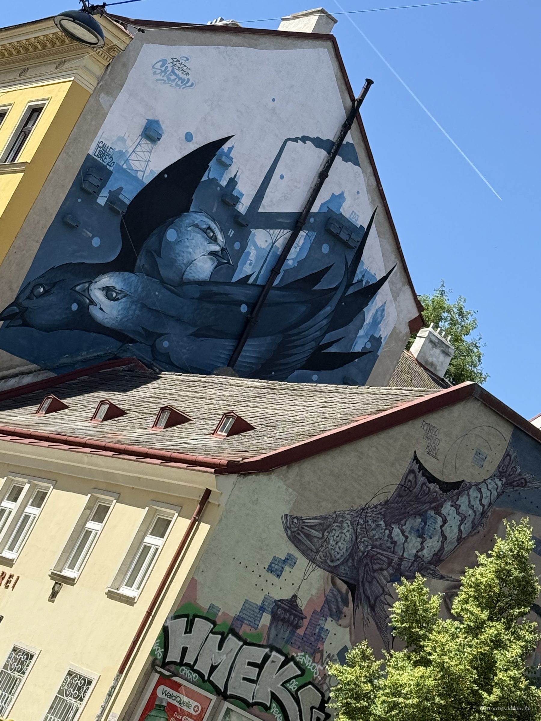Fresque murale représentant des oiseaux bleus sur un immeuble viennois