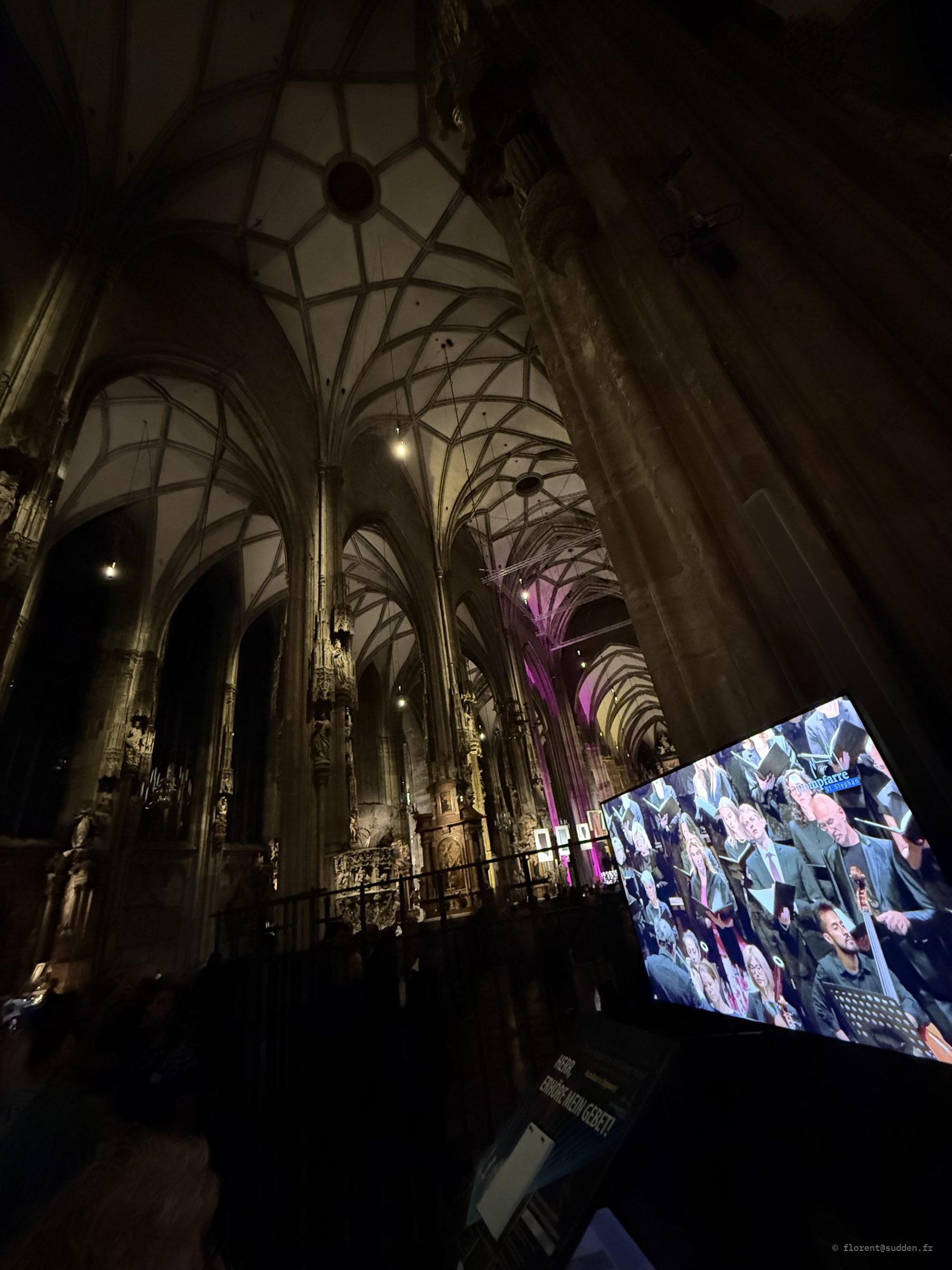 Intérieur de la cathédrale Saint-Étienne de Vienne pendant un concert retransmis sur écran
