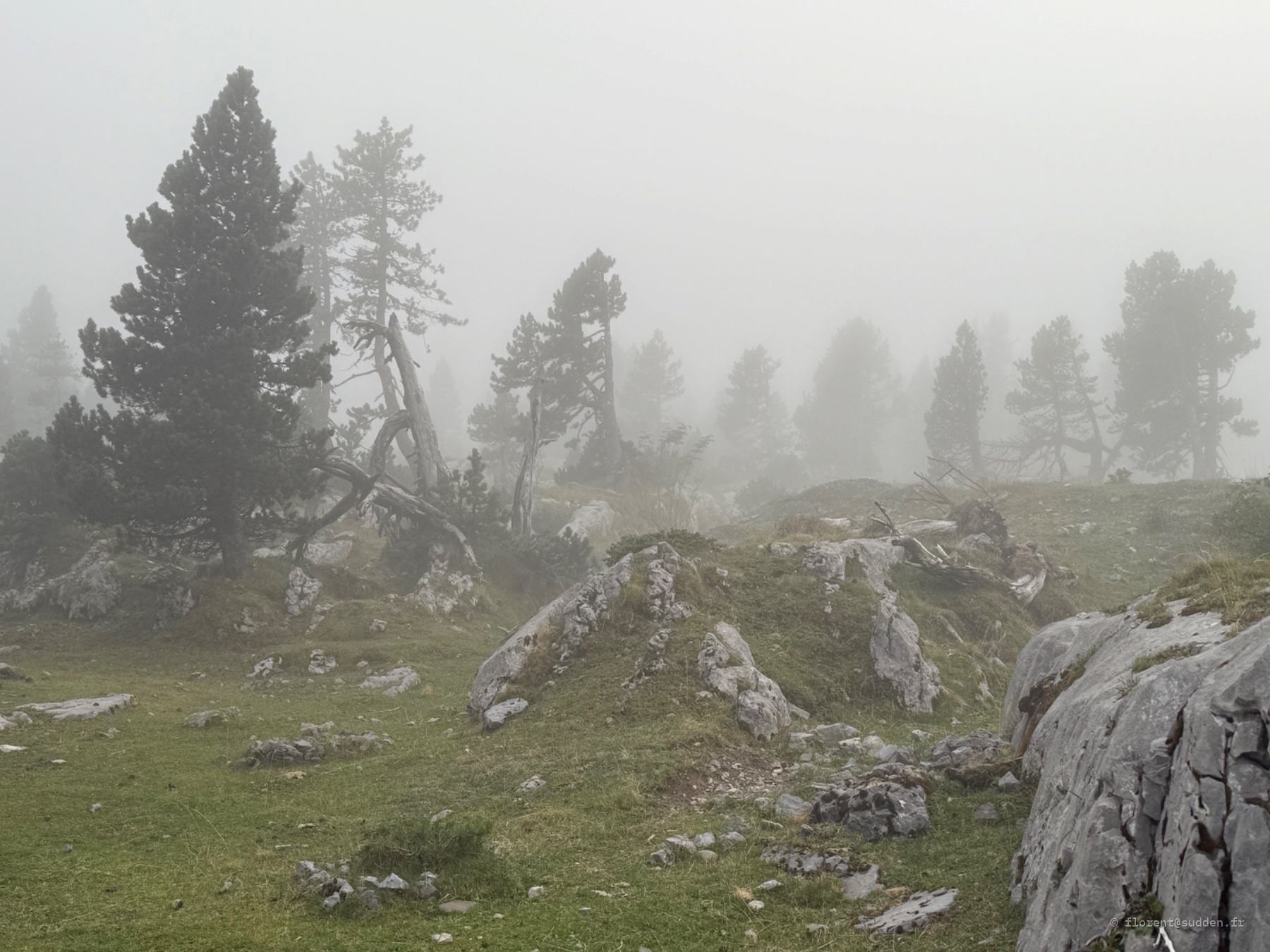 Pas de l'Ours, Arette