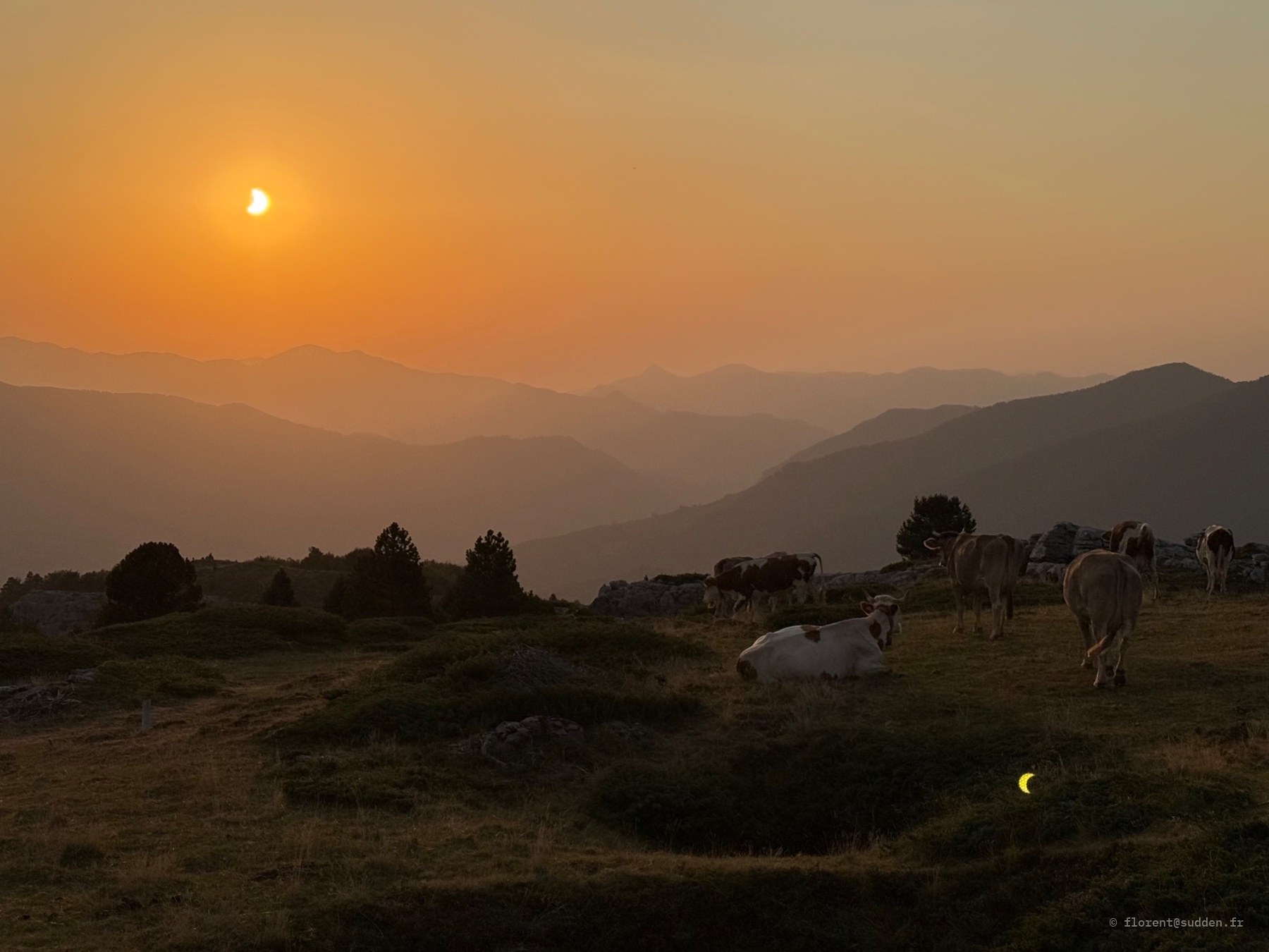 Vallée des Pyrénées, Arette