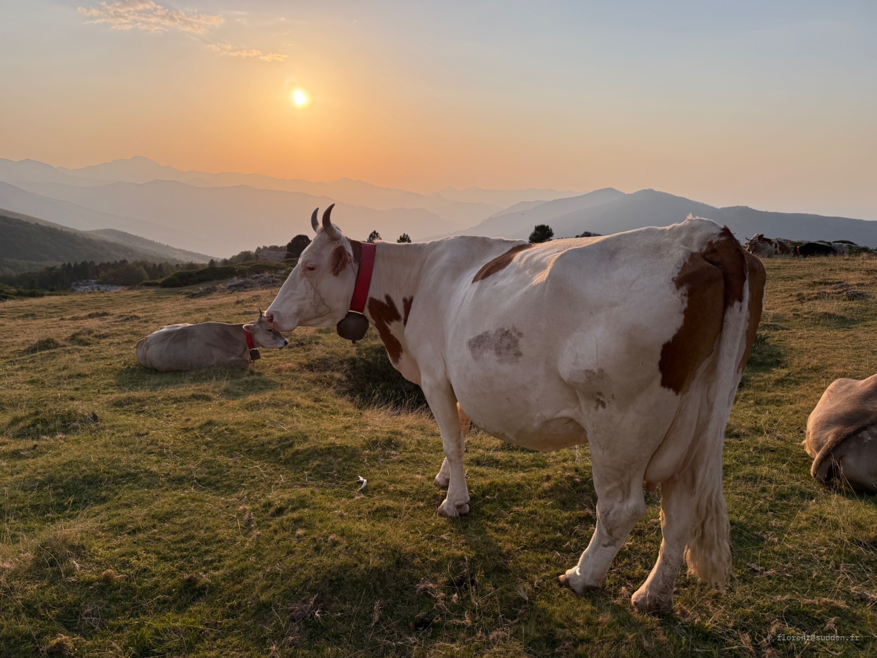 Vallée des Pyrénées, Arette