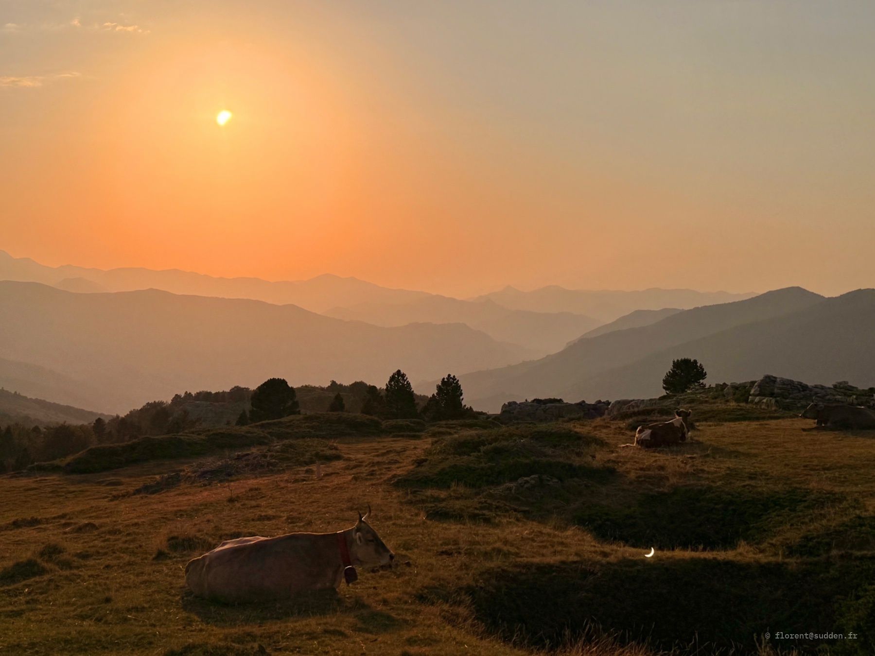 Vallée des Pyrénées, Arette
