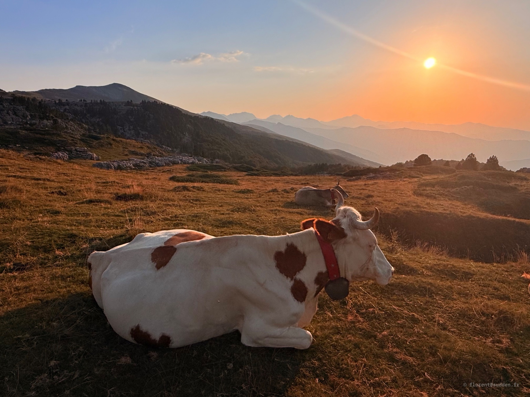 Vallée des Pyrénées, Arette