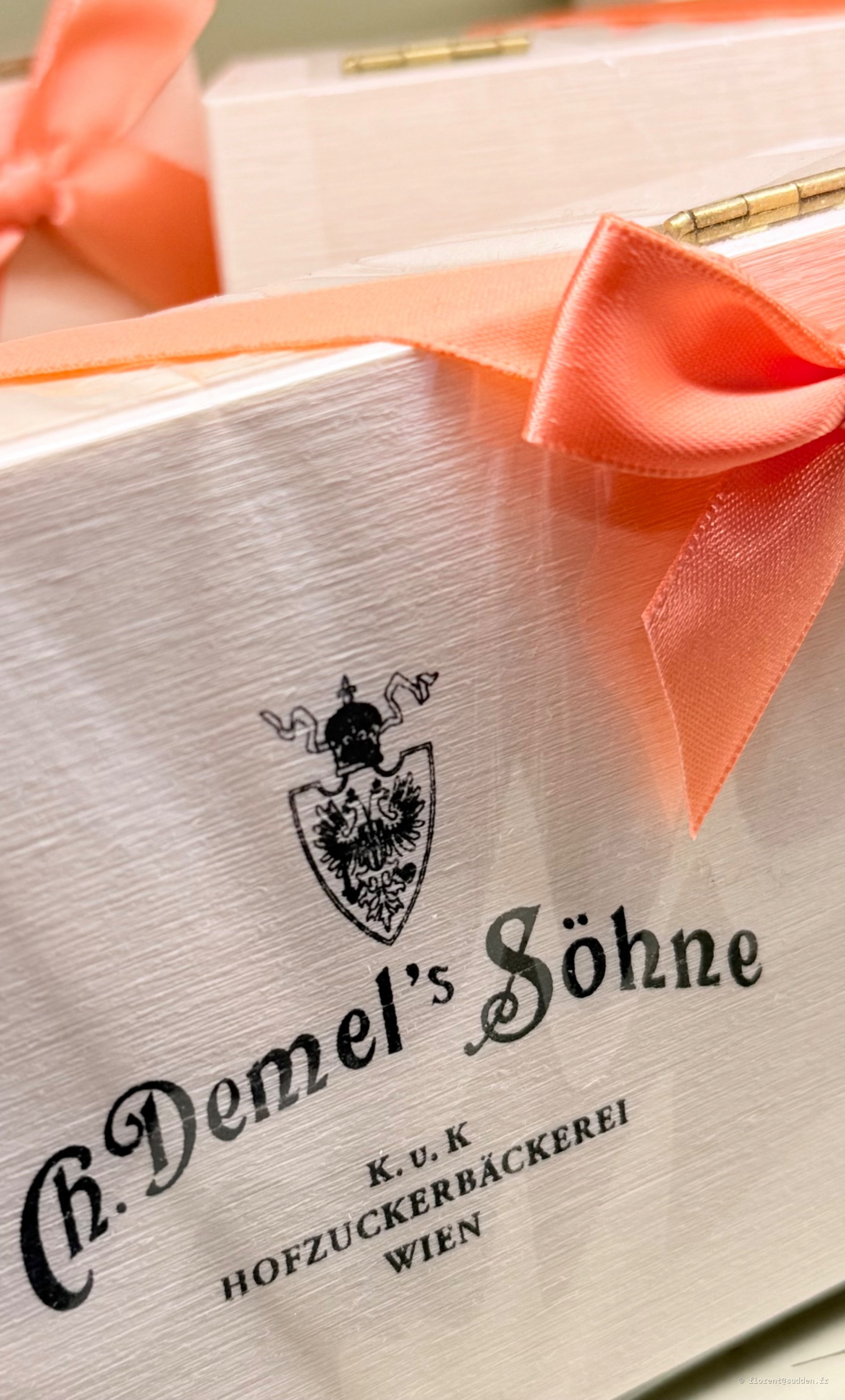 R. Demmel's Söhne, Vienne