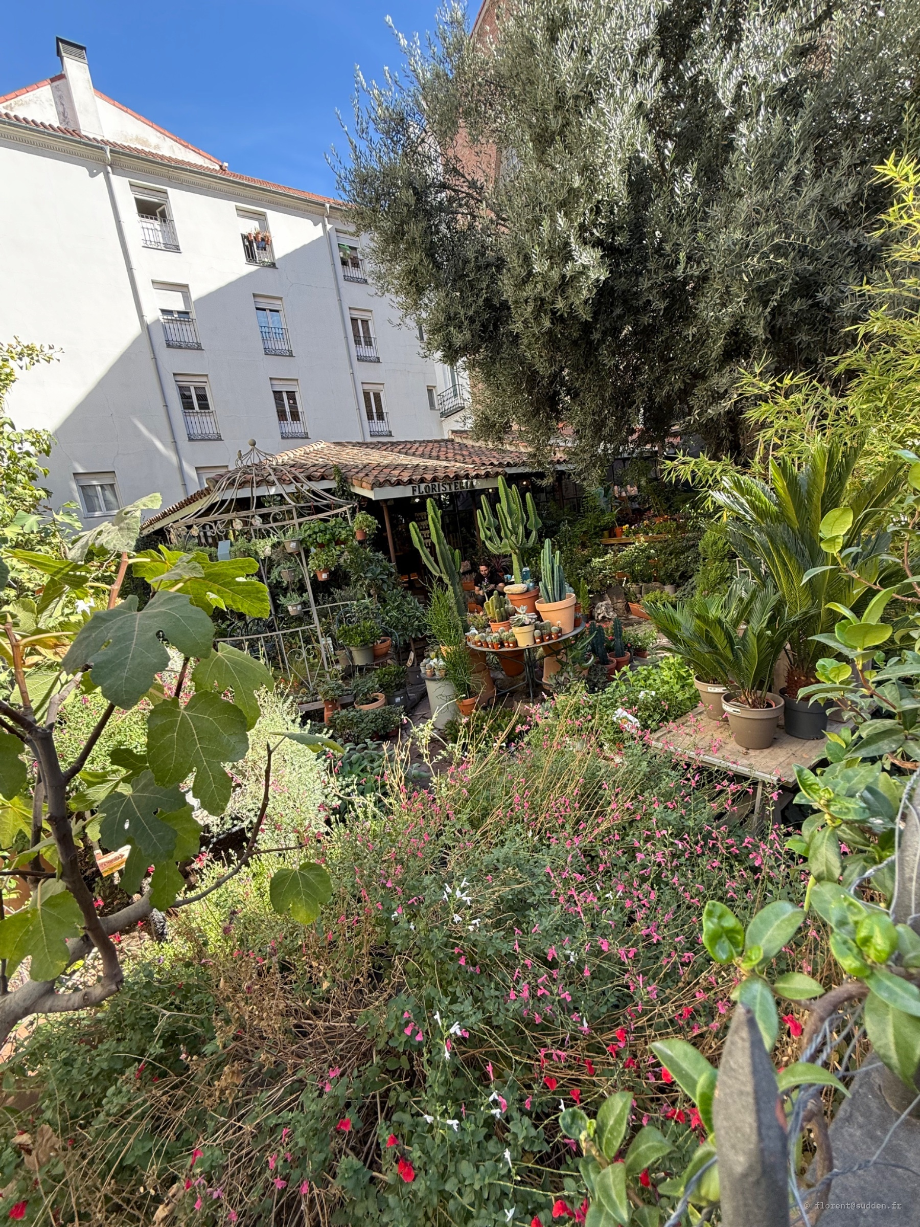 Superbe espace de vente, Barrio de las Letras, Madrid