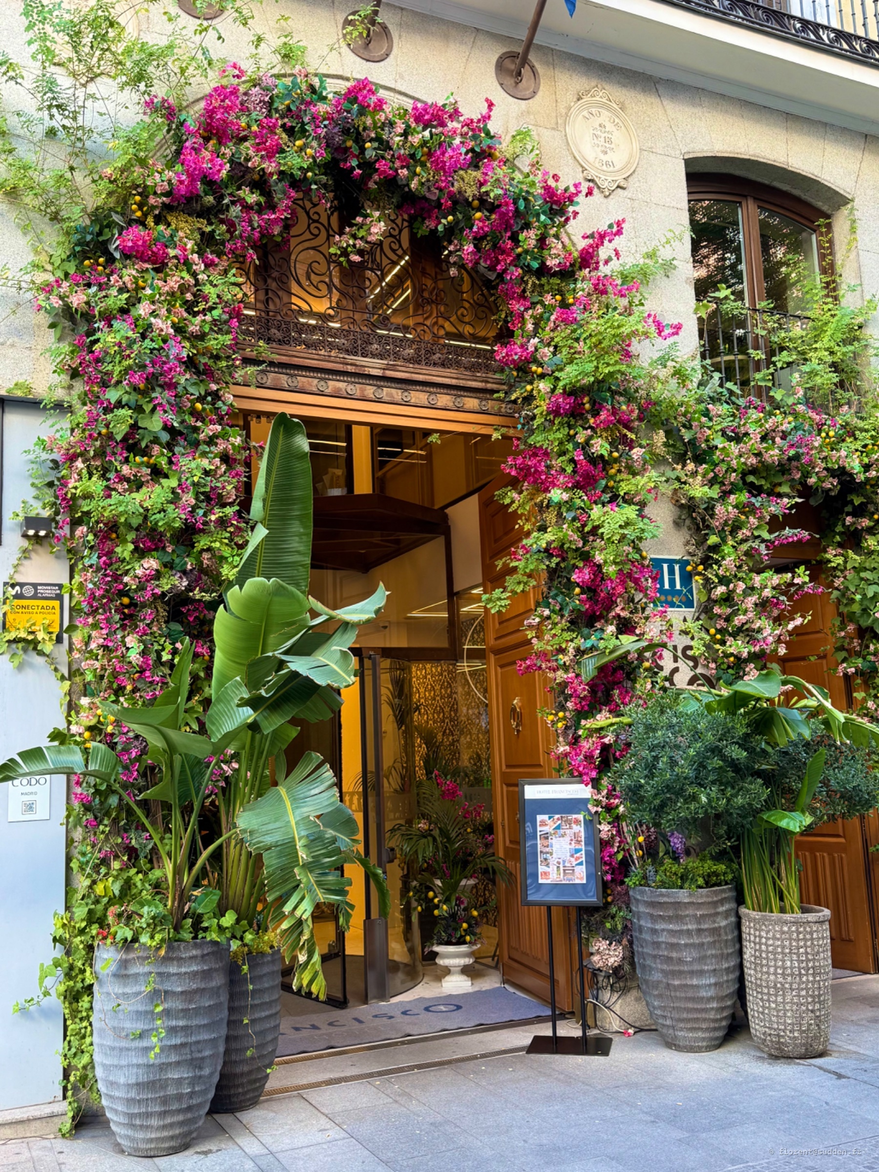 Hôtel Francisco I : L'entrée fleurit, la rue passe.