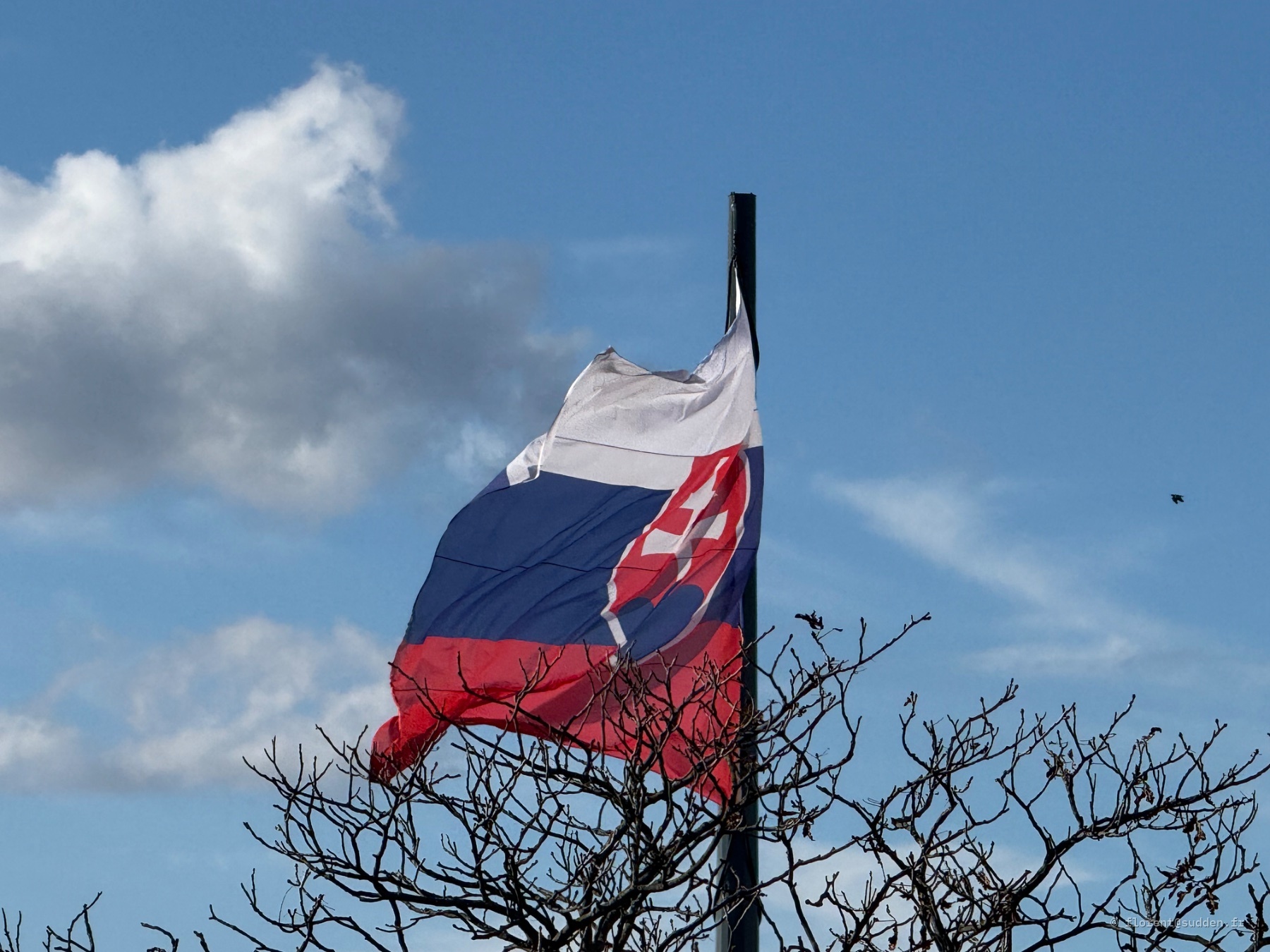 Drapeau de la Slovaquie